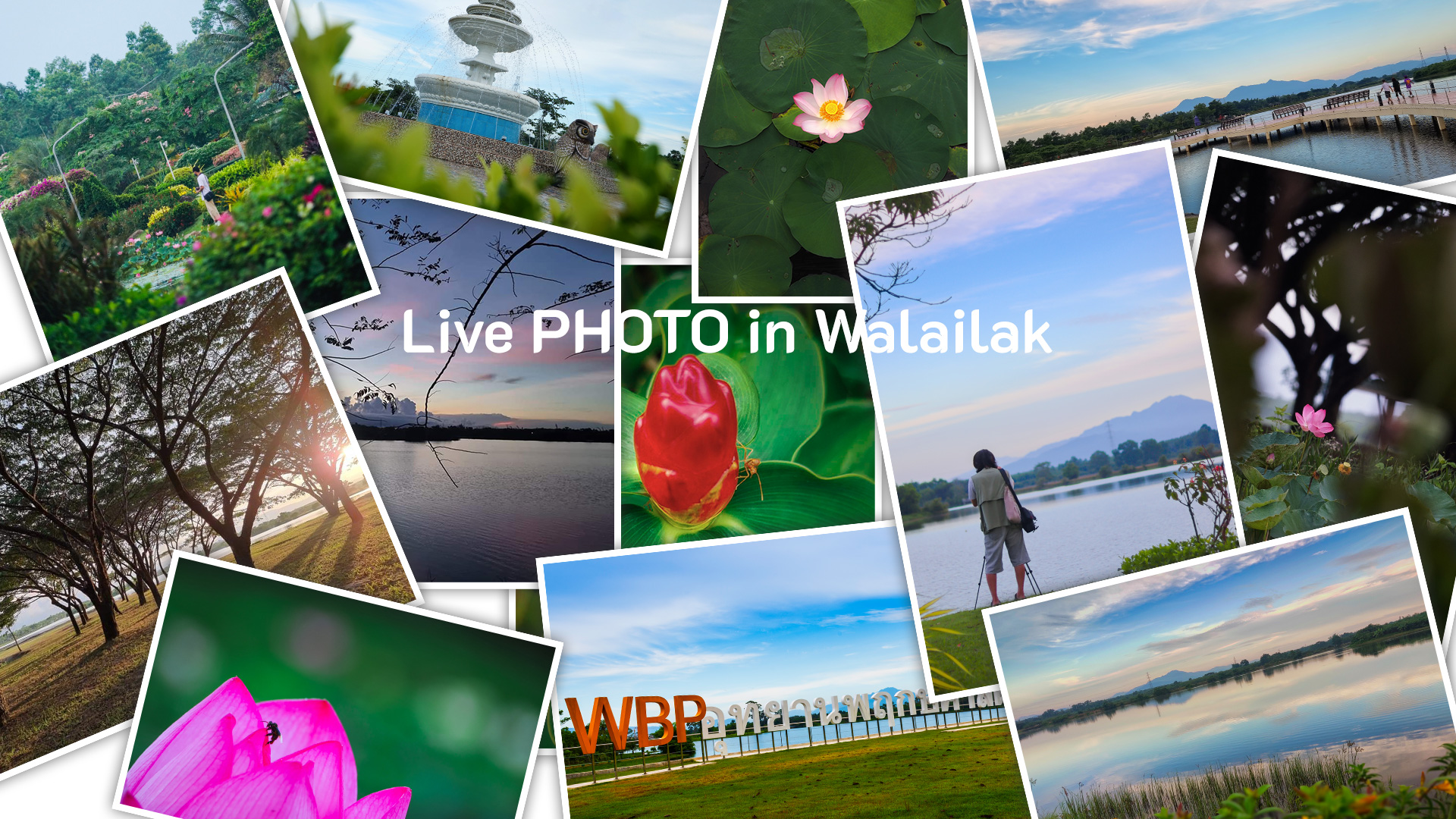 Live PHOTO in Walailak 