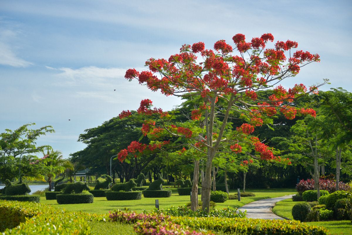 สวนไม้ดัด 12 นักษัตร