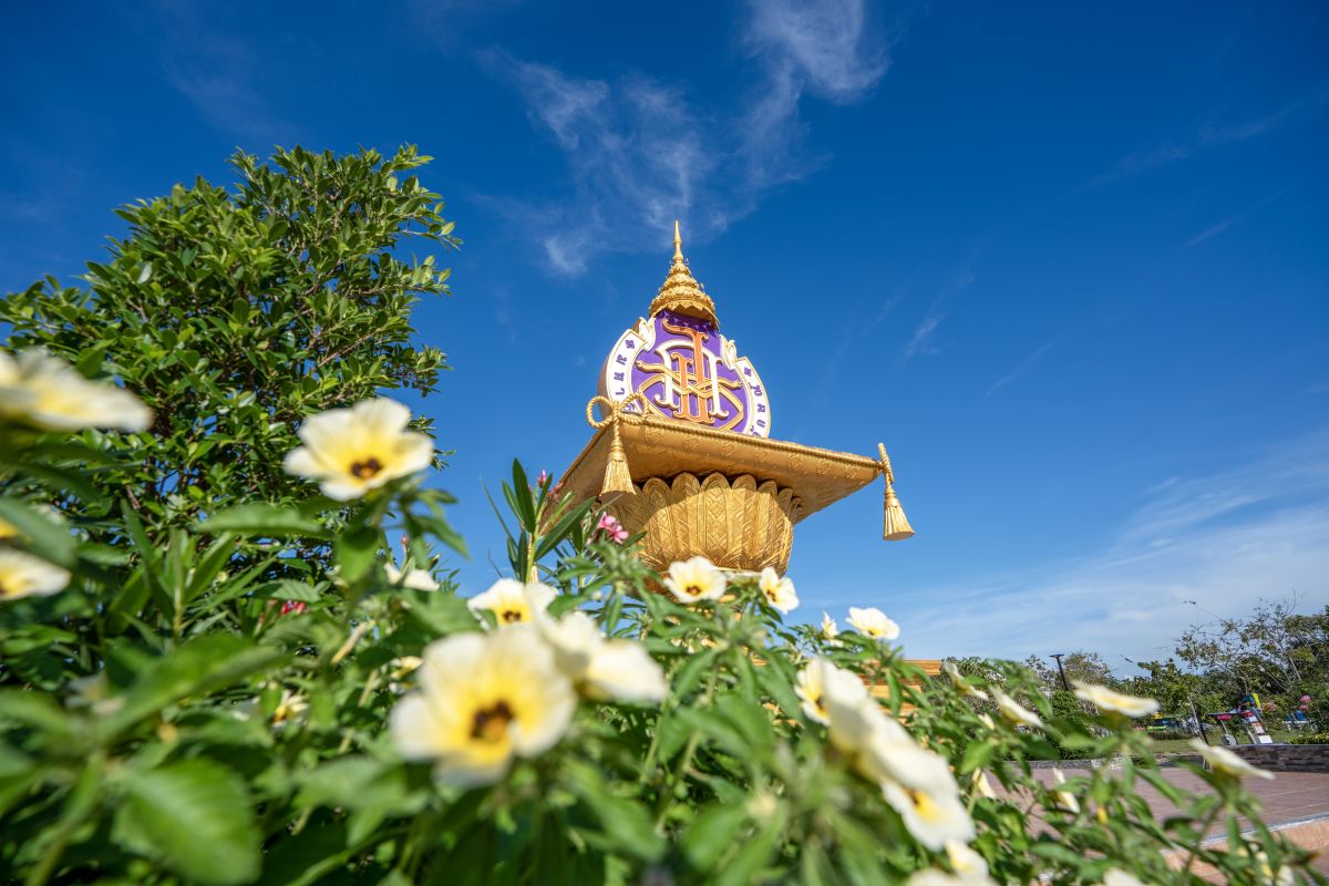 ตราสัญลักษณ์ มหาวิทยาลัยวลัยลักษณ์