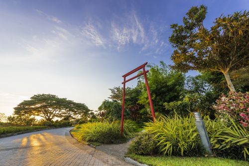 สวนญี่ปุ่น