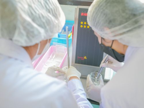 ปฏิบัติการเทคโนโลยีเภสัชกรรม  การทดสอบคุณภาพยาเม็ด